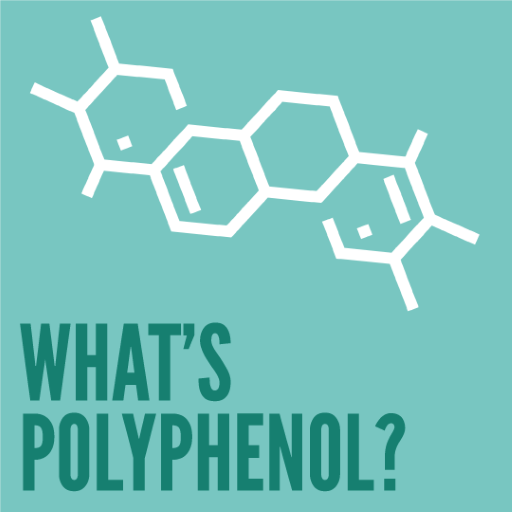 Natürel Sızma Zeytinyağıda Polifenol Nedir?