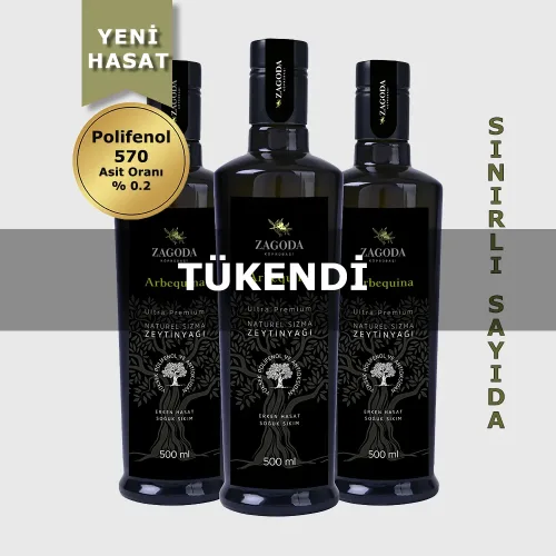 Zagoda Arbequina Organik Natürel Sızma Zeytinyağı 500 ml Cam Şişe 2024 Yılı En Erken Hasat