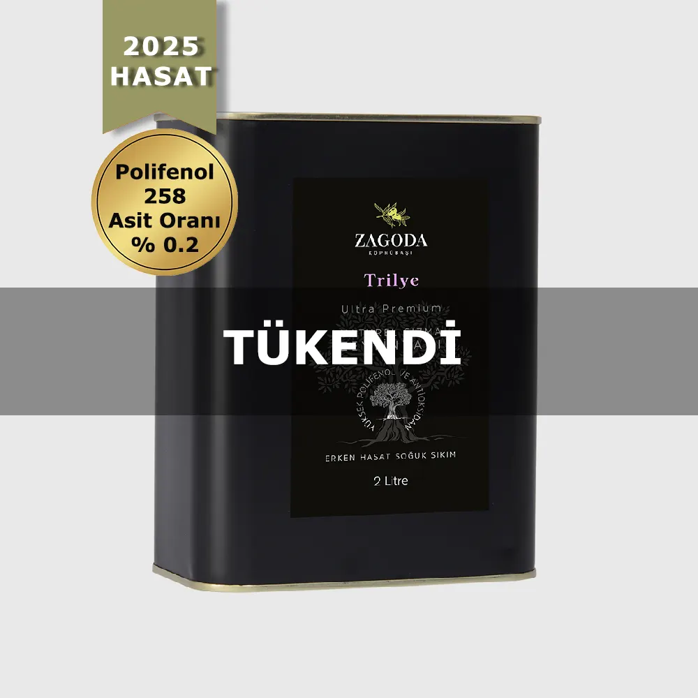 Zagoda Trilye Natürel Sızma Zeytinyağı 2 Litre Teneke 2025 Hasat Erken Hasat